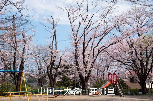 中國十大名山在哪里