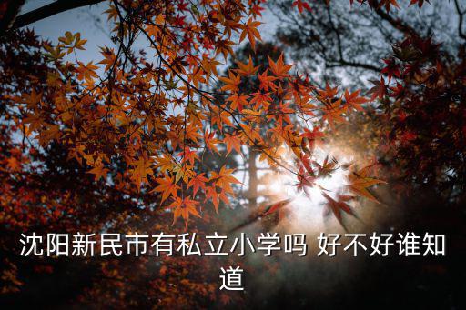 沈陽(yáng)新民市有私立小學(xué)嗎 好不好誰知道