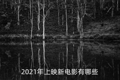 2021年上映新電影有哪些