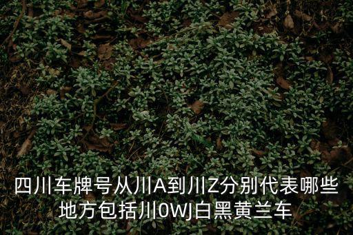 四川車牌號從川A到川Z分別代表哪些地方包括川0WJ白黑黃蘭車