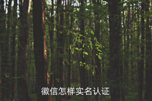 徽信怎樣實名認證