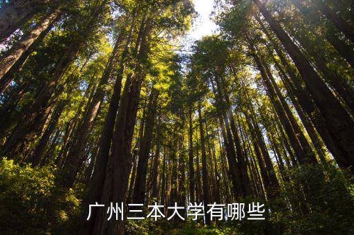 廣東三本學(xué)校，廣東比較好的三本有哪些