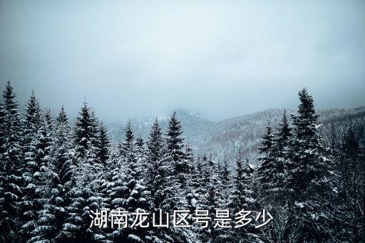 湖南龍山區號是多少