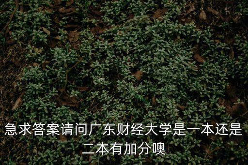 急求答案請問廣東財經大學是一本還是二本有加分噢