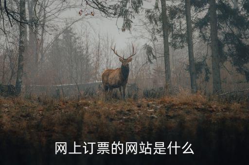 網上訂票的網站是什么