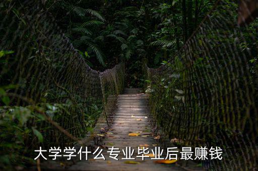 大學(xué)學(xué)什么專業(yè)畢業(yè)后最賺錢
