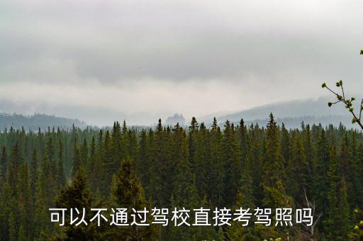 可以不通過駕校直接考駕照嗎