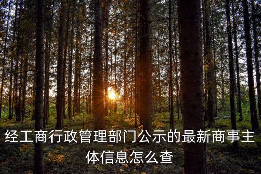 經(jīng)工商行政管理部門公示的最新商事主體信息怎么查