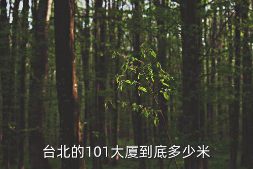 臺北的101大廈到底多少米