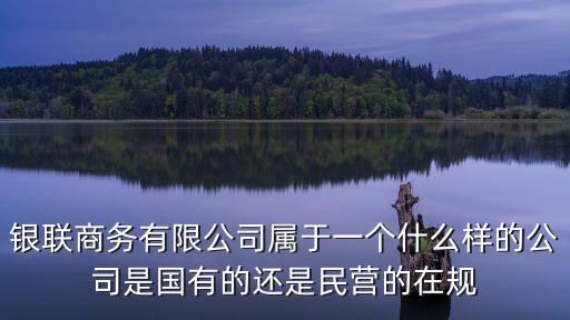 銀聯(lián)商務(wù)有限公司屬于一個(gè)什么樣的公司是國(guó)有的還是民營(yíng)的在規(guī)