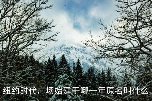 時(shí)代廣場(chǎng)在哪，時(shí)代廣場(chǎng)在什么街道什么社區(qū)