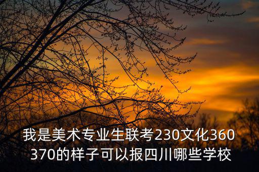 我是美術專業生聯考230文化360 370的樣子可以報四川哪些學校