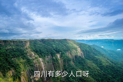 四川有多少人口呀