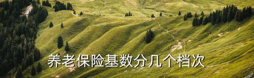 養(yǎng)老保險(xiǎn)基數(shù)分幾個(gè)檔次