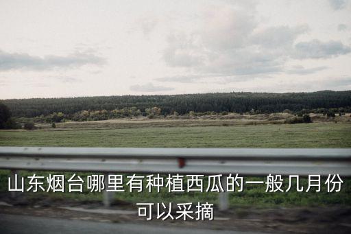 西瓜采摘，山東煙臺哪里有種植西瓜的一般幾月份可以采摘