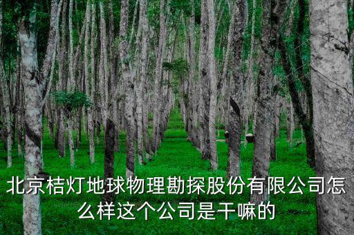 北京桔燈地球物理勘探股份有限公司怎么樣這個公司是干嘛的