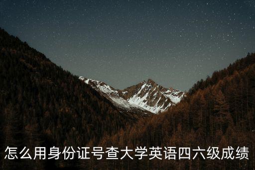 怎么用身份證號查大學英語四六級成績