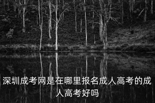 深圳成考網(wǎng)是在哪里報名成人高考的成人高考好嗎