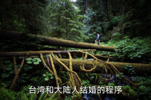 臺灣和大陸人結(jié)婚的程序