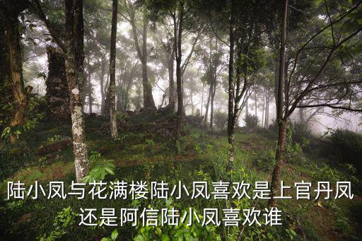 上官丹鳳，陸小鳳與花滿樓陸小鳳喜歡是上官丹鳳還是阿信陸小鳳喜歡誰
