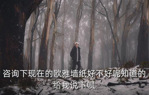 咨詢下現(xiàn)在的歐雅墻紙好不好呢知道的給我說下唄