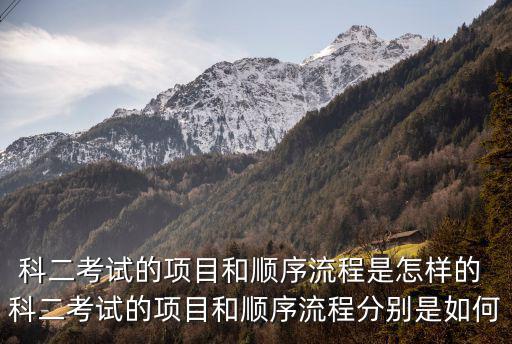 科二考試的項目和順序流程是怎樣的 科二考試的項目和順序流程分別是如何