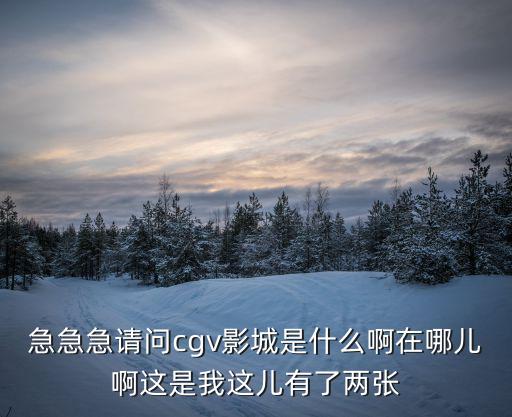 cgv電影院，鄭州大衛城cgv電影院什么時候開業是激光imax嗎