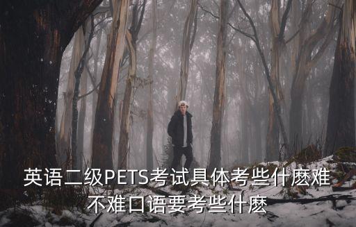 英語二級PETS考試具體考些什麼難不難口語要考些什麼