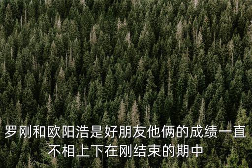 羅剛和歐陽浩是好朋友他倆的成績一直不相上下在剛結束的期中