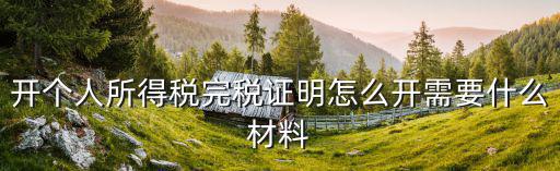 個人完稅證明，個人納稅證明怎么開