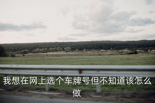 我想在網上選個車牌號但不知道該怎么做