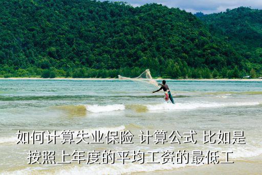 如何計算失業保險 計算公式 比如是按照上年度的平均工資的最低工