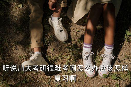 聽說川大考研很難考啊怎么辦應該怎樣復習啊