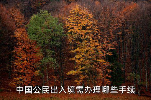 出入境，中國(guó)公民出入境需辦理哪些手續(xù)