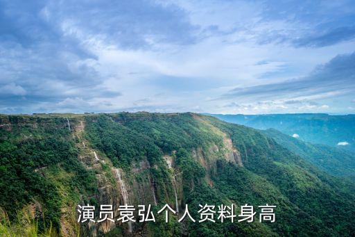 演員袁弘個(gè)人資料身高