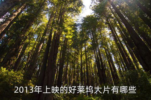 2013年上映的好萊塢大片有哪些