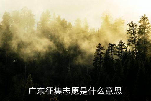 廣東征集志愿是什么意思