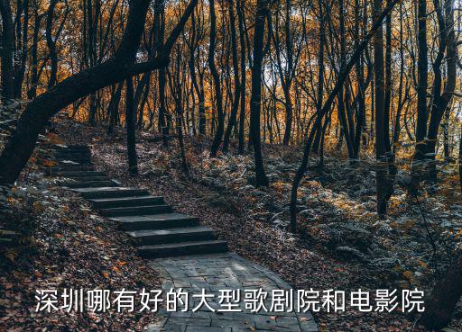 深圳歌劇院，深圳哪里的劇院有上映七耳兔的兒童音樂劇啊