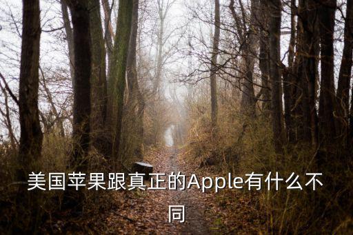 美國蘋果跟真正的Apple有什么不同