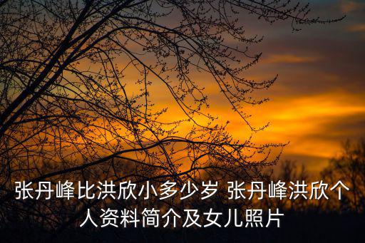 張丹峰比洪欣小多少歲 張丹峰洪欣個人資料簡介及女兒照片