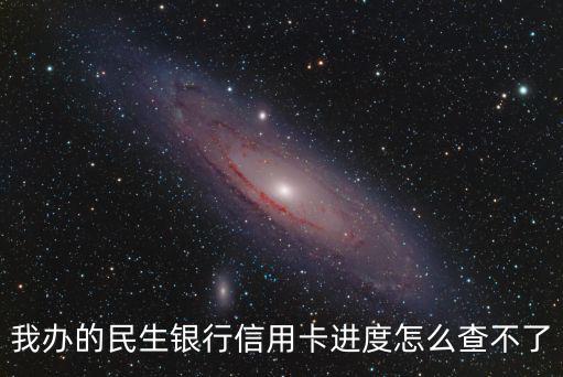 我辦的民生銀行信用卡進度怎么查不了