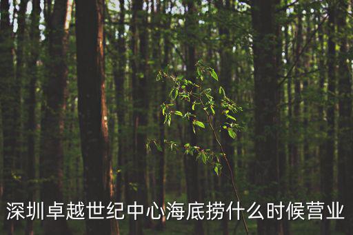 深圳卓越世紀中心海底撈什么時候營業