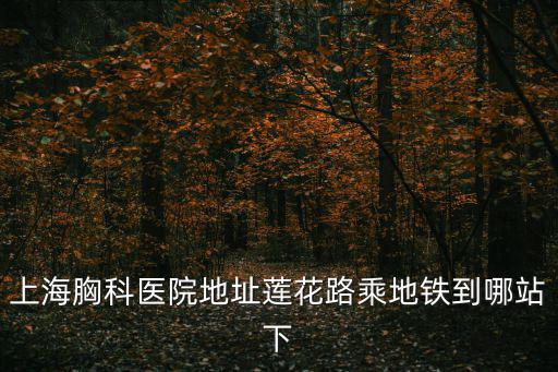 蓮花路地鐵站，上海蓮花路地鐵站有幾個出口
