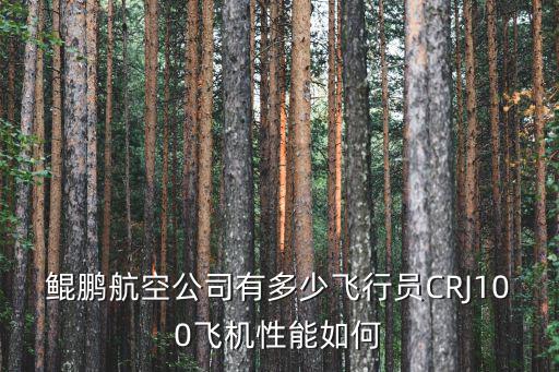 鯤鵬航空公司有多少飛行員CRJ100飛機性能如何