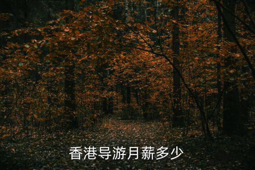 香港導游月薪多少