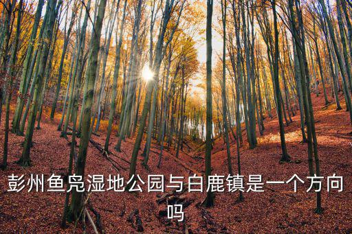 彭州魚鳧濕地公園與白鹿鎮是一個方向嗎