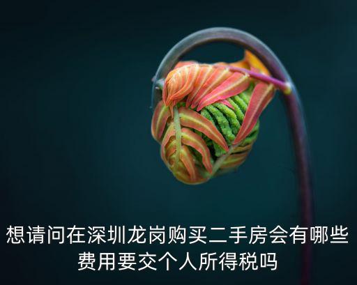 想請問在深圳龍崗購買二手房會有哪些費用要交個人所得稅嗎