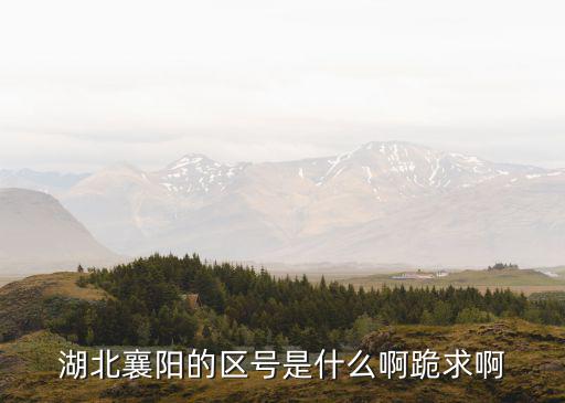 湖北襄陽的區號是什么啊跪求啊