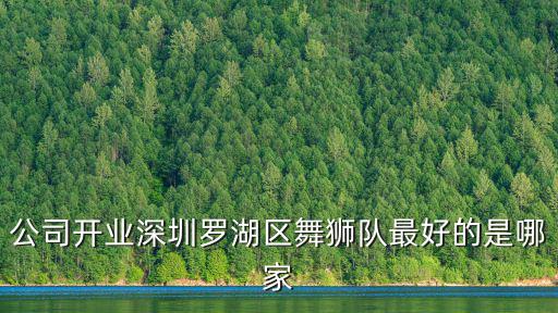 公司開業深圳羅湖區舞獅隊最好的是哪家