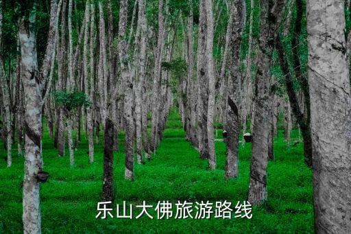 樂(lè)山大佛旅游路線